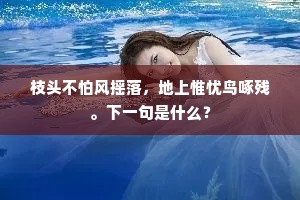 石崇南山高，晨起见峥嵘。的解释