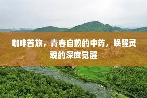 咖啡苦旅，青春自煎的中药，唤醒灵魂的深度觉醒
