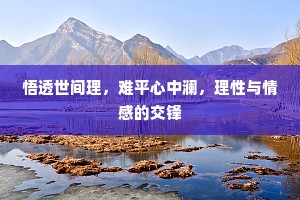 悟透世间理，难平心中澜，理性与情感的交锋