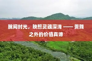 腕间时光，映照灵魂深浅 —— 贵贱之外的价值真谛