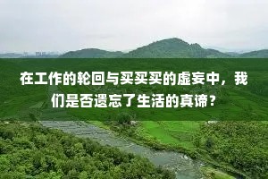 在工作的轮回与买买买的虚妄中，我们是否遗忘了生活的真谛？