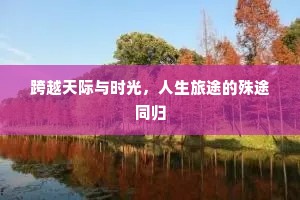 跨越天际与时光，人生旅途的殊途同归