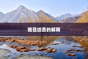 岐路马犹顾，轻波鸥自斜。上一句是什么？