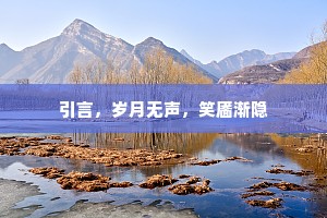 昭代应怜鹦鹉赋，丽情莫讶鹔鹴裘。的解释