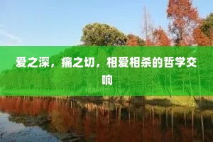 爱之深，痛之切，相爱相杀的哲学交响