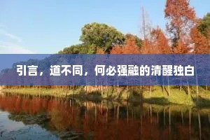 引言，道不同，何必强融的清醒独白