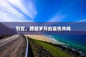 引言，跨越岁月的哀伤共鸣