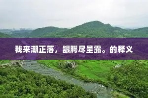 生命如歌，勿让羽翼垂落——鲍照之叹，启悟现世人生