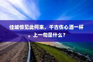 石马无声，饥乌作阵，白杨风急萧萧。的解释