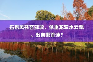 洞察与紧握，时机的艺术