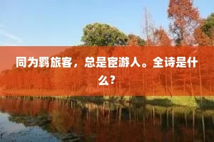 大梦启于微尘，步步为营向辉煌