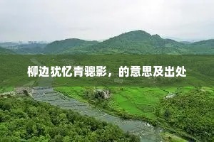 见多识广的释义