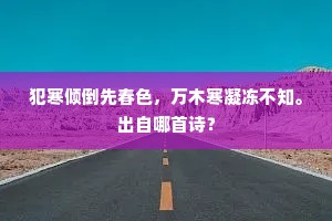 楼前夜色千门月，帘外风光九陌尘。的解释
