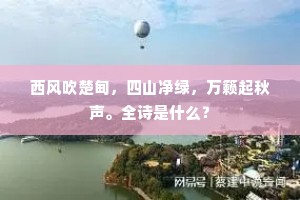 满眼长安名利客，如君萧洒是何人。的解释