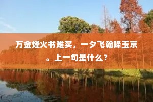 谁云续僧史，别位著吾师。下一句是什么？