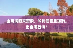 几曲升平旧谱，数首新诗。的解释
