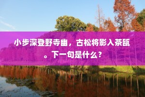 槥车在道路，征夫不得休。的意思及出处