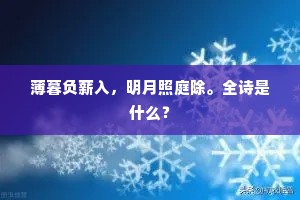 白雁朝来欲下滩，人言气入菊花寒。下一句是什么？