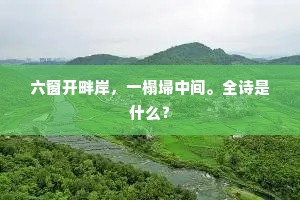 临邛绿绮。何事琴心在里。的意思及出处