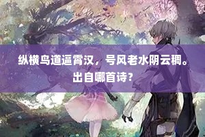 皱撮紫虚悬圃见，却驰白马碧山豪。下一句是什么？