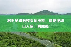 湘水芳魂招未得，又黄陵、泣断瑶妃竹。下一句是什么？
