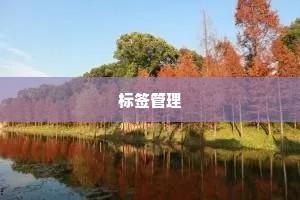 人生路很长的励志语录（精选8篇）