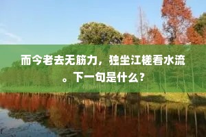 何啻幕上危，不托枅与杗。的释义