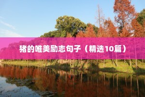 很实用的经典歇后语（精选100句）