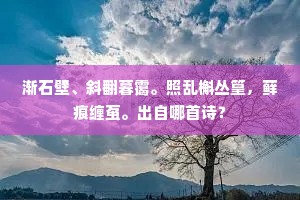 悬知蓑笠骑牛处，□意悠悠合化工。全诗是什么？