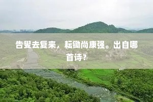 生活无柱，灵魂何以安？冈察洛夫警世之言的深度共鸣