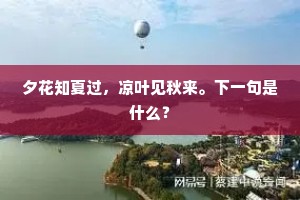 矫情饰诈的释义
