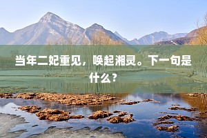 物质洪流中的灵魂灯塔，追寻内心的宁静与真理
