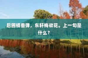 相思何处歌声发，独与幽人抱影眠。的意思及出处