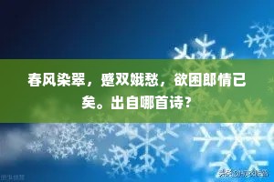 正路难寻，理想引航，在纷扰中点亮心灯