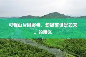 较武论文的解释