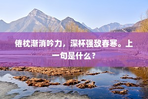 一鸟独未归，毰毸老无力。的意思及出处