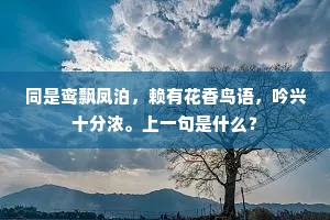好景采抛诗句里，别愁驱入酒杯中。全诗是什么？