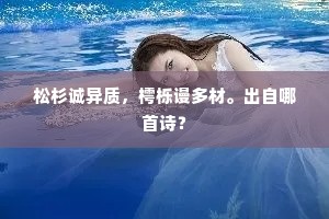 热情如火，坚持铸梦，司汤达启示录下的不凡征途