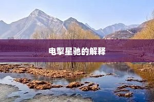 电掣星驰的解释