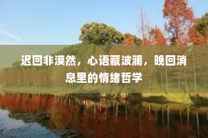 迟回非漠然，心语藏波澜，晚回消息里的情绪哲学