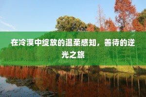 在冷漠中绽放的温柔感知，善待的逆光之旅