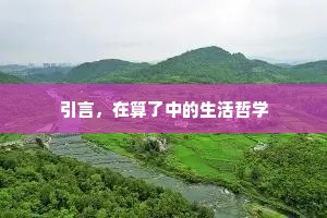 引言，在算了中的生活哲学