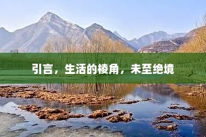 引言，生活的棱角，未至绝境