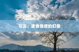 引言，速食情感的幻象
