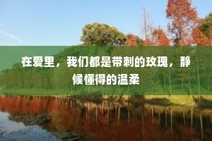 在爱里，我们都是带刺的玫瑰，静候懂得的温柔