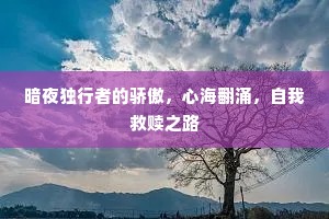 暗夜独行者的骄傲，心海翻涌，自我救赎之路