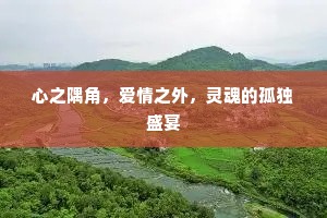 心之隅角，爱情之外，灵魂的孤独盛宴