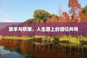 放羊与砍柴，人生路上的错位共鸣