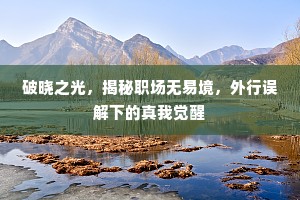 破晓之光，揭秘职场无易境，外行误解下的真我觉醒