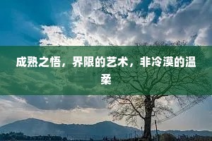 成熟之悟，界限的艺术，非冷漠的温柔
